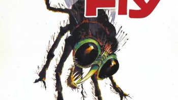 CAPTUREZ LA MOUCHE A TETE HUMAINE....