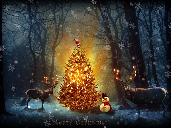 carte noel