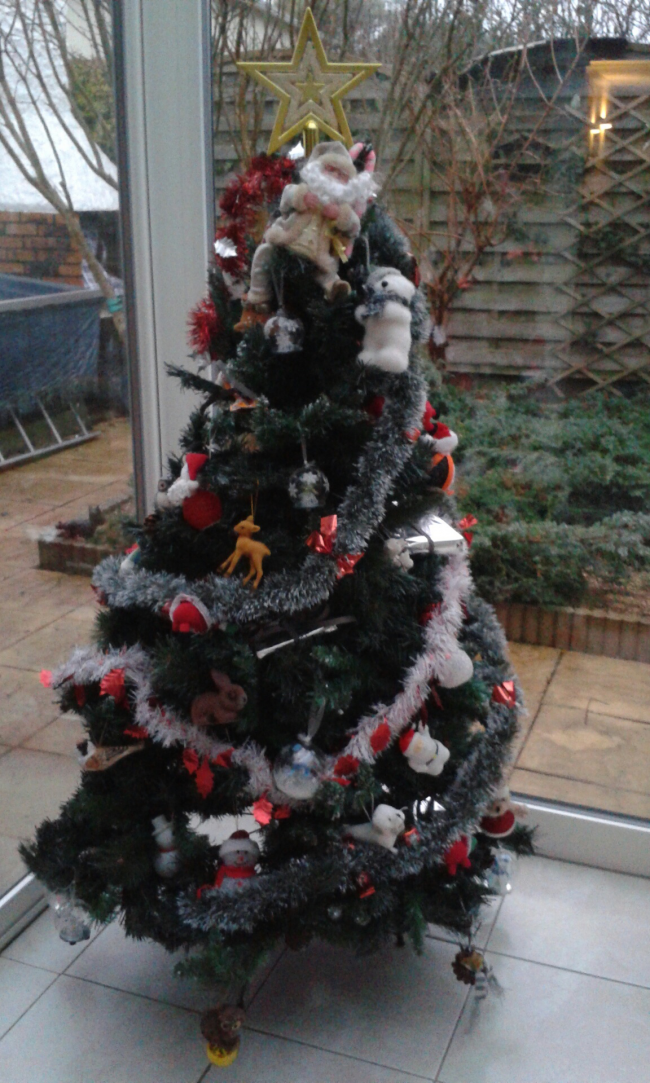 concours plus beau sapin