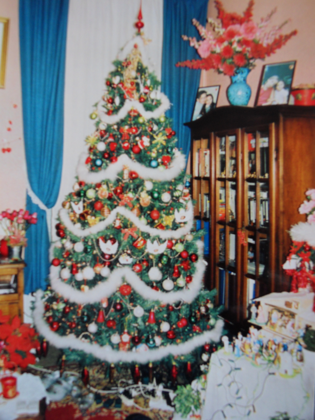 concours plus beau sapin