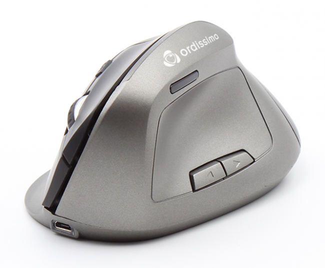 Souris vue de côté
