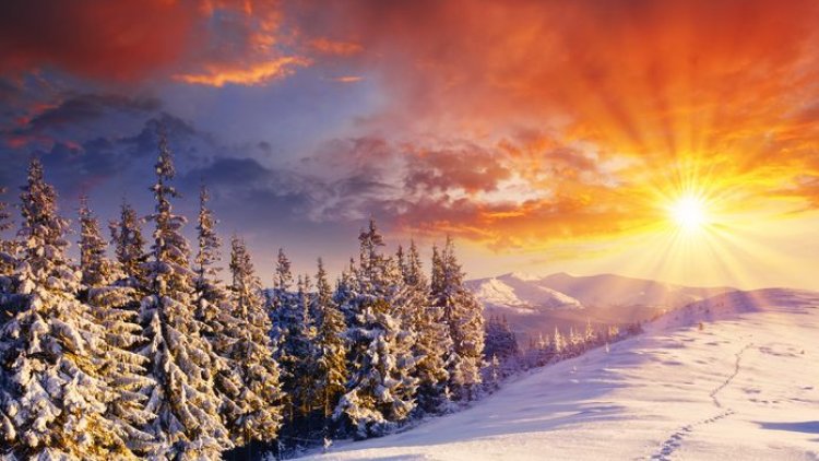 Depuis le début de cette année, les températures sont plus élevées que la normale sur l'ensemble du territoire. Paris connaît ainsi le troisième hiver le plus doux depuis 1900. 