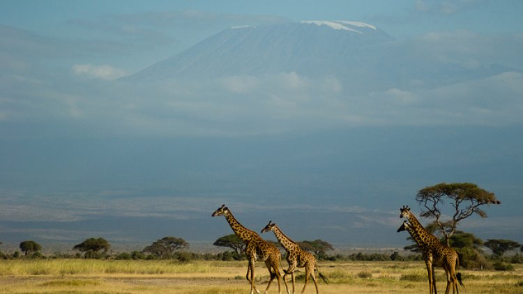 Devenez enquêteur et découvrez où a été prise la photo du jour ! Tous les moyens sont bons pour trouver... recherchez dans le dictionnaire, sur internet, ou dans vos photos personnelles et déposez en commentaire votre réponse. Au fur et à mesure de vos retours, nous vous donnerons d'autres indices...