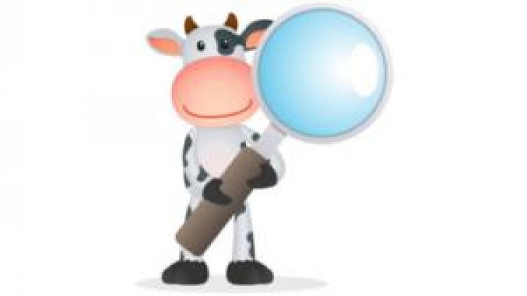 Plusieurs charades vous attendent, certaines sont faciles, d'autres nettement moins... A vous de bien réfléchir et passez un bon moment !