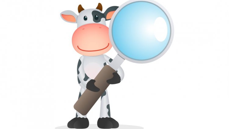 Venez savourer notre humour ! Voici plusieurs devinettes et contrepèteries partagées par notre ordissinaute Cricri.