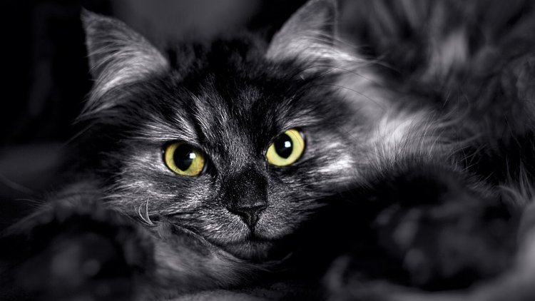 Un peu d'humour avec ce nouveau texte de notre ordissinaute Fayane.