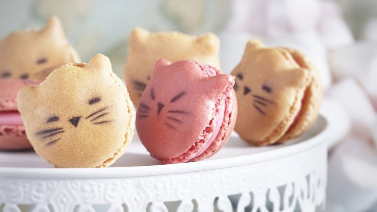 La Maison Lenôtre accueille pour la rentrée une collection éphémère de macarons chat "Badou Badou" signées Élodie Martins, auteur et créatrice de délices, avec la complicité de Guy Krenzer, son Directeur de la Création. La pâtissière sera l'invitée spéciale d'ateliers animés à l'École Lenôtre... So yummy ! À découvrir dès à présent ! 
Cet article Lenôtre x Élodie Martins : &laquo;&nbsp;Chat alors&nbsp;&raquo; ! est apparu en premier sur Ma Sérendipité.

