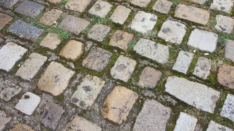 Histoires pour rire entre deux averses...