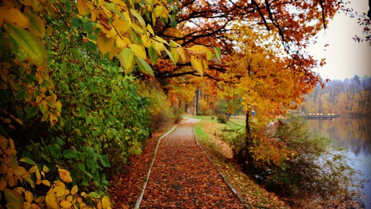 Une nouvelle balade avec notre ordissinaute Louisette.