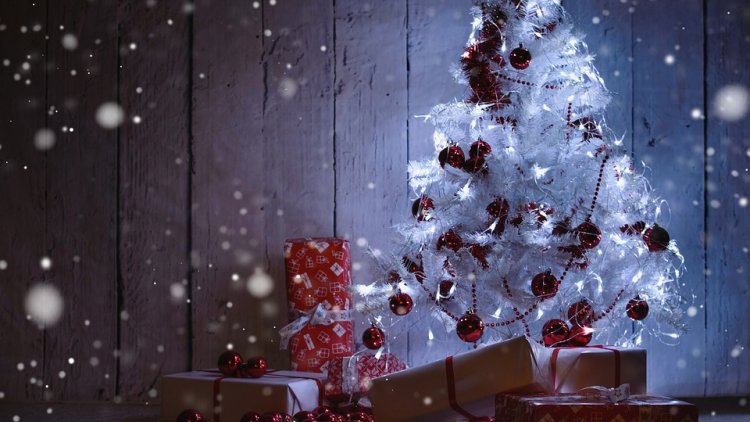 Bonjour à tous !
Noël arrive à grands pas et vous êtes nombreux à avoir décoré un sapin. Nous avons donc décidé de lancer la première édition du "Plus beau sapin des Ordissinautes". Pour participer c'est très simple ! Vous avez jusqu'au 25 décembre pour nous envoyer la photo de votre sapin à claudiahordissimo@gmail.com