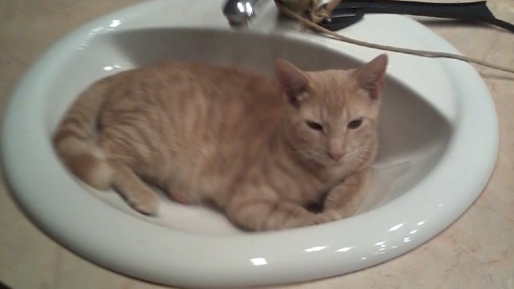 impulsion passagère