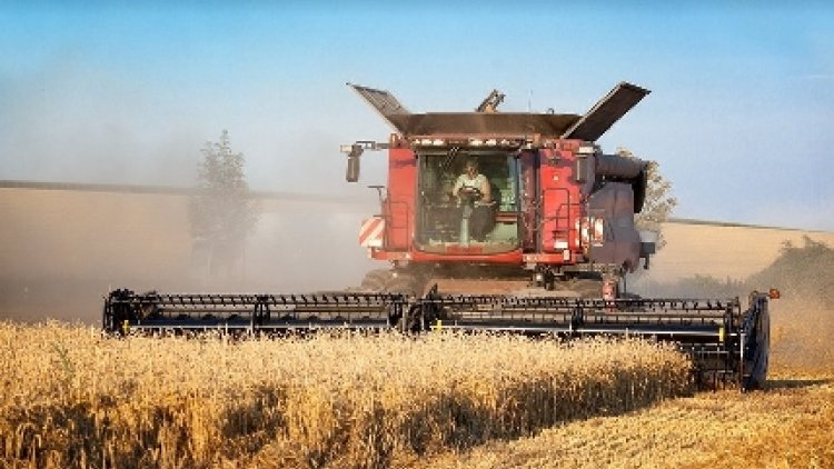 l'art  des  répliques, bien appliquées, au bon moment !!