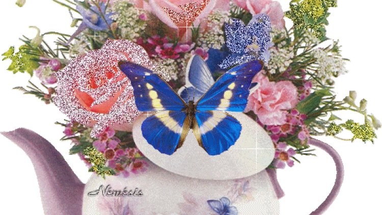 L'incorrigible TOTO revient pour nous titiller.......