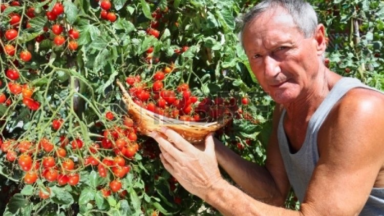 Voici une recette très simple réalisée par notre chef minou.