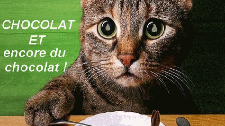 Amusantes ? Ça dépend pour qui ! Glanées ça et là....