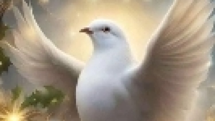 quelques conseils pour que notre vie soit plus douce