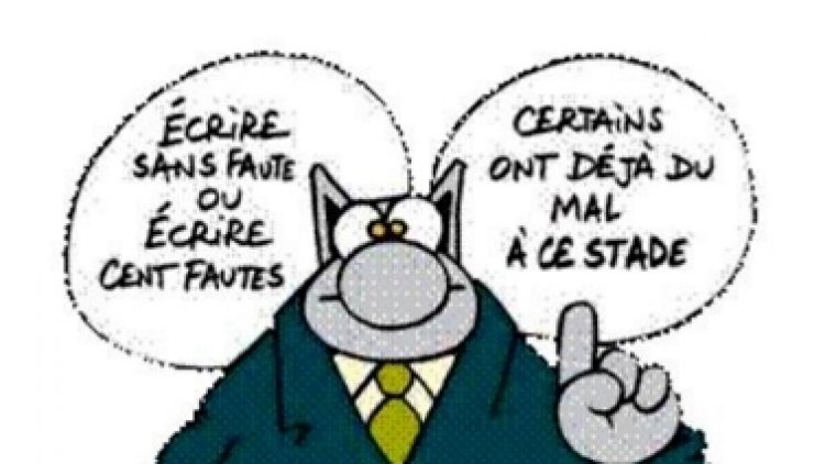 Voici quelques  trouvailles   du CHAT ,,, 