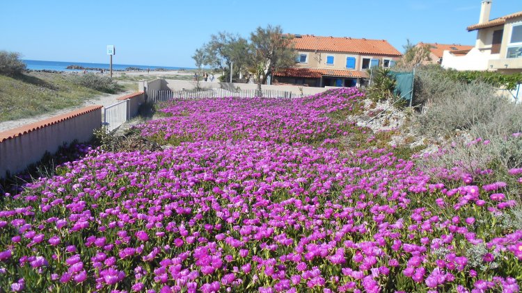 Un magnifique texte de notre ordissinaute Claude Lopez.