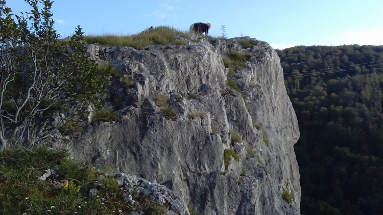 découverte de mon pays