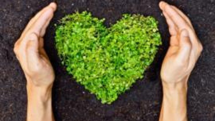 Lorsque Monsieur voudrait et madame  se refuse, la situation risque de se retourner et même de capoter .....