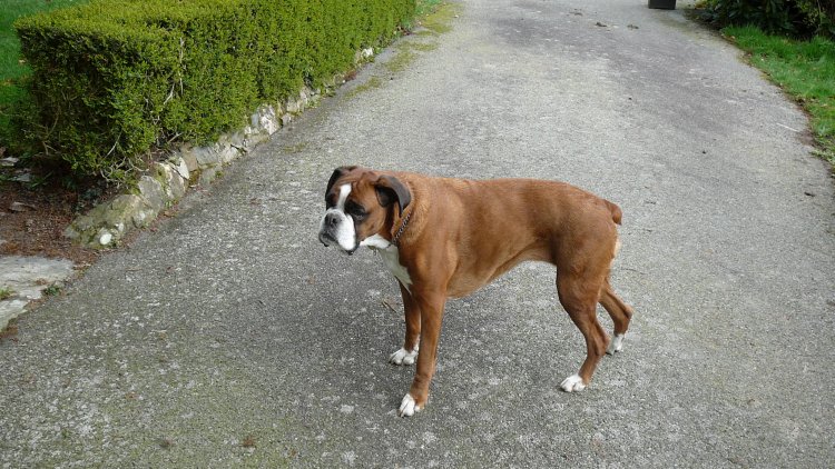 Un peu pourries ? On n'a pas tous les mêmes valeurs ...