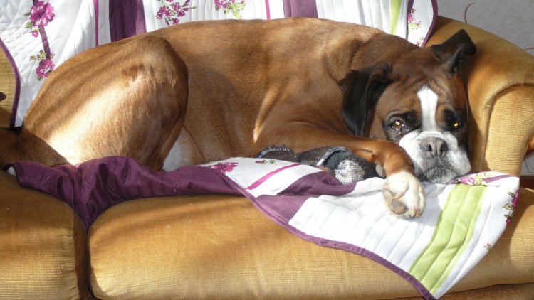 Rions un peu, les ami(e)s...