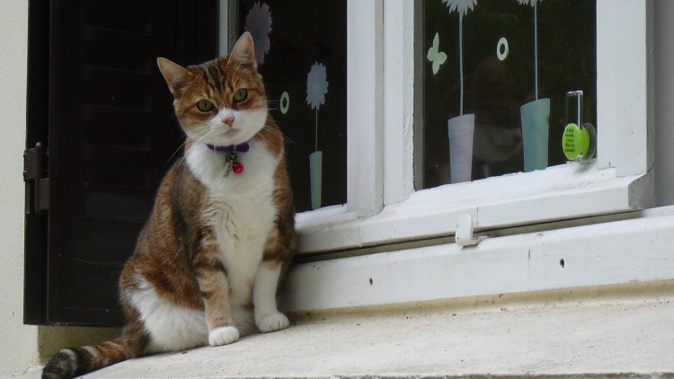 rire le matin, rire le midi, rire le soir.