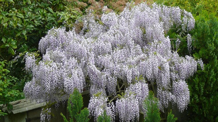 Encore un peu d'humour avec notre ordissinaute Castafiore44.