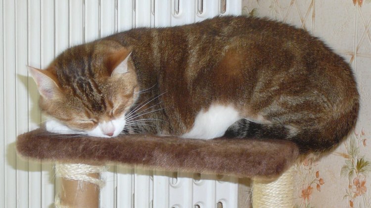 De bonnes blagues histoire de passer une agréable journée.