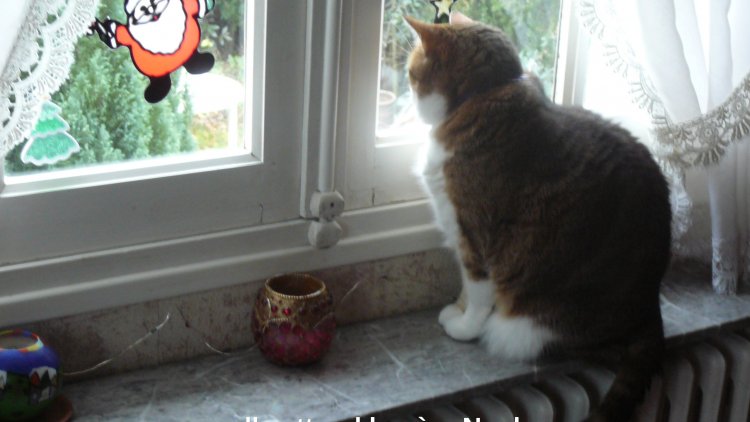 Un petit sourire pour commencer la journée.           