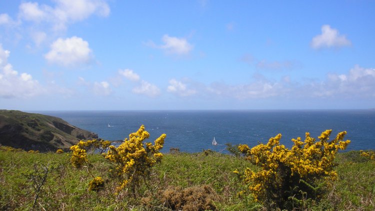 "Emmancher des houettes ".....Expression populaire en Normandie,pour se moquer de ceux qui s'endorment assis en piquant du nez !    J leliévre