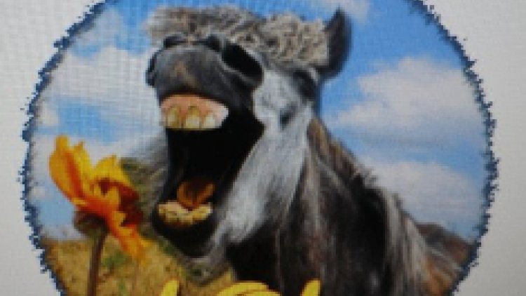 il y  a des évidences  que l'on ne peut ignorer 

