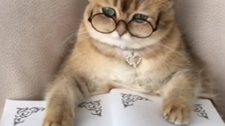 Il faudrait en faire sa lecture matinale ,,,,