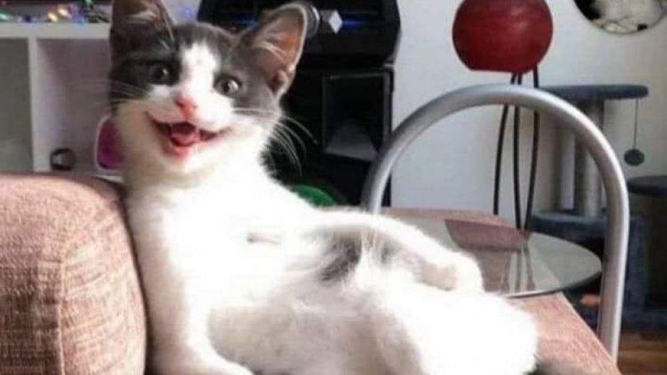 petites blagues  ,pour petits déjeuners  sucrés   et  soirée  ??????
