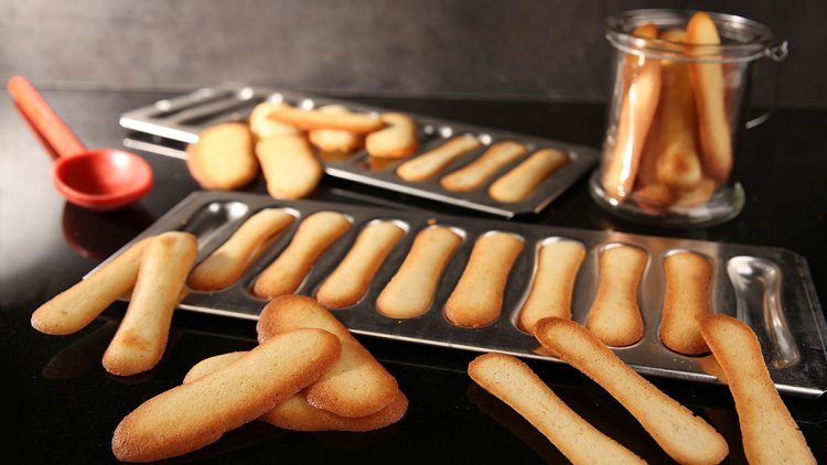 LANGUES DE CHAT