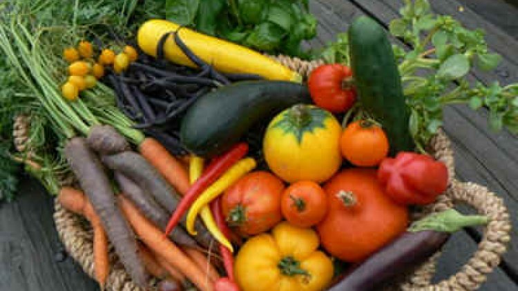 l'été, on aime manger ces salades, pleines de vitamines, avec des légumes gorgés de soleil, faites à temps creux et ensuite manger au frais tranquillement