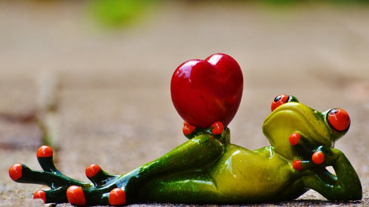 Dans ma gentille petite histoire vous allez imaginer ces moments de désir.
Ce que c'est que l'envie.
Vous avez connu ça aussi, j'en suis certain.