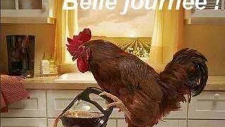 cette histoire est tirée d'un  livre ,plus trés récent.......les personnages ne sont pas fictifs, mais plus d'actualité......(les phrases rayées sont indépendantes de ma volonté,c'est mon ordi qui dicte ses caprices....)