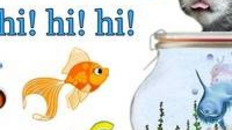 Dialogue  de petits poissons,
Une pêche" aux petites histoires,  contées par  des poissons........