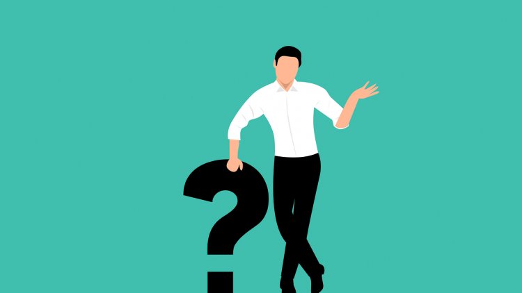 C'est quoi  leur poisson préféré ou leur crustacé préféré ?
J'ai réfléchi pour vous. Sympa, non ?
Voici les réponses...