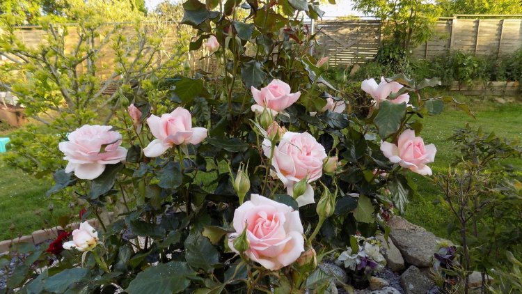 Il faut bien rire un peu pour voir la vie sous un autre angle !!!!