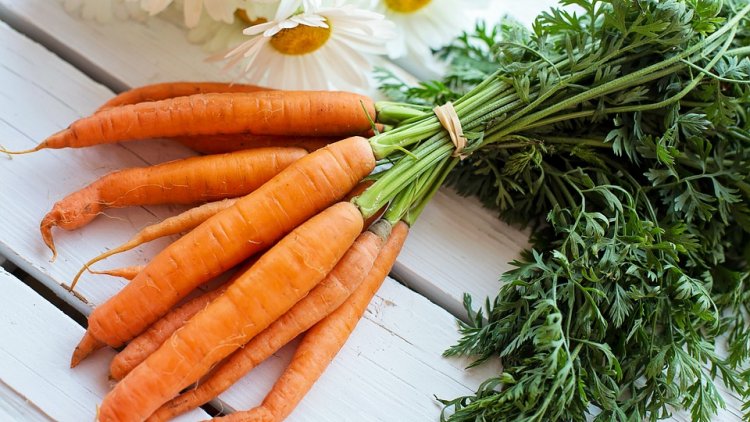 Voici une nouvelle recette de notre ordissinaute Bout de Zen. Nous connaissons tous la purée de pommes de terre. Avez-vous déjà goûté la purée de carottes ? Avec du thym c'est encore mieux ! Connaissez-vous d'autres recettes simples et rapides à faire ?