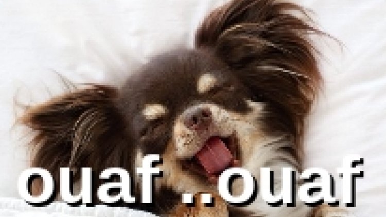 Le rire est la chanson de l’ âme …
Le sourire est son refrain