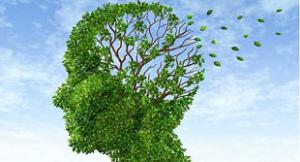 Les maladies dégénératives comme Alzheimer et les pertes de mémoire sont des problèmes liés à l’âge. Toutefois il est possible de s’en prévenir grâce à son alimentation et à une certaine hygiène de vie.

