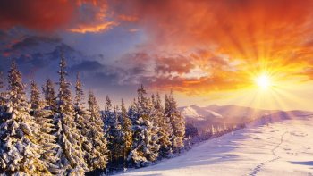 Depuis le début de cette année, les températures sont plus élevées que la normale sur l'ensemble du territoire. Paris connaît ainsi le troisième hiver le plus doux depuis 1900. 