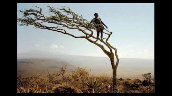 Photos de nature et animaux...