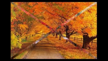 Une poésie de jardinier avec des images de jardin.
		