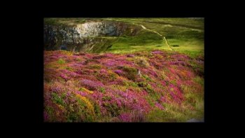 Visitez la beauté de la Bretagne en quelques images.
		
