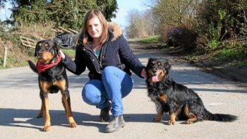 
Trouver l'endroit idéal où déposer ses animaux de compagnie tels que les chiens avant de partir en vacances n'est pas toujours une tâche aisée. Pour les habitants de la Vendée, la pension de la Sylvie Gras constitue un refuge de choix grâce à son originalité.