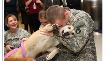 Respect et admiration pour ces soldats à "4 pattes" qui suivent leurs maîtres avec courage... Une pensée pour Diesel et pour ses copains tombés au combat afin de défendre et de préserver nos libertés...